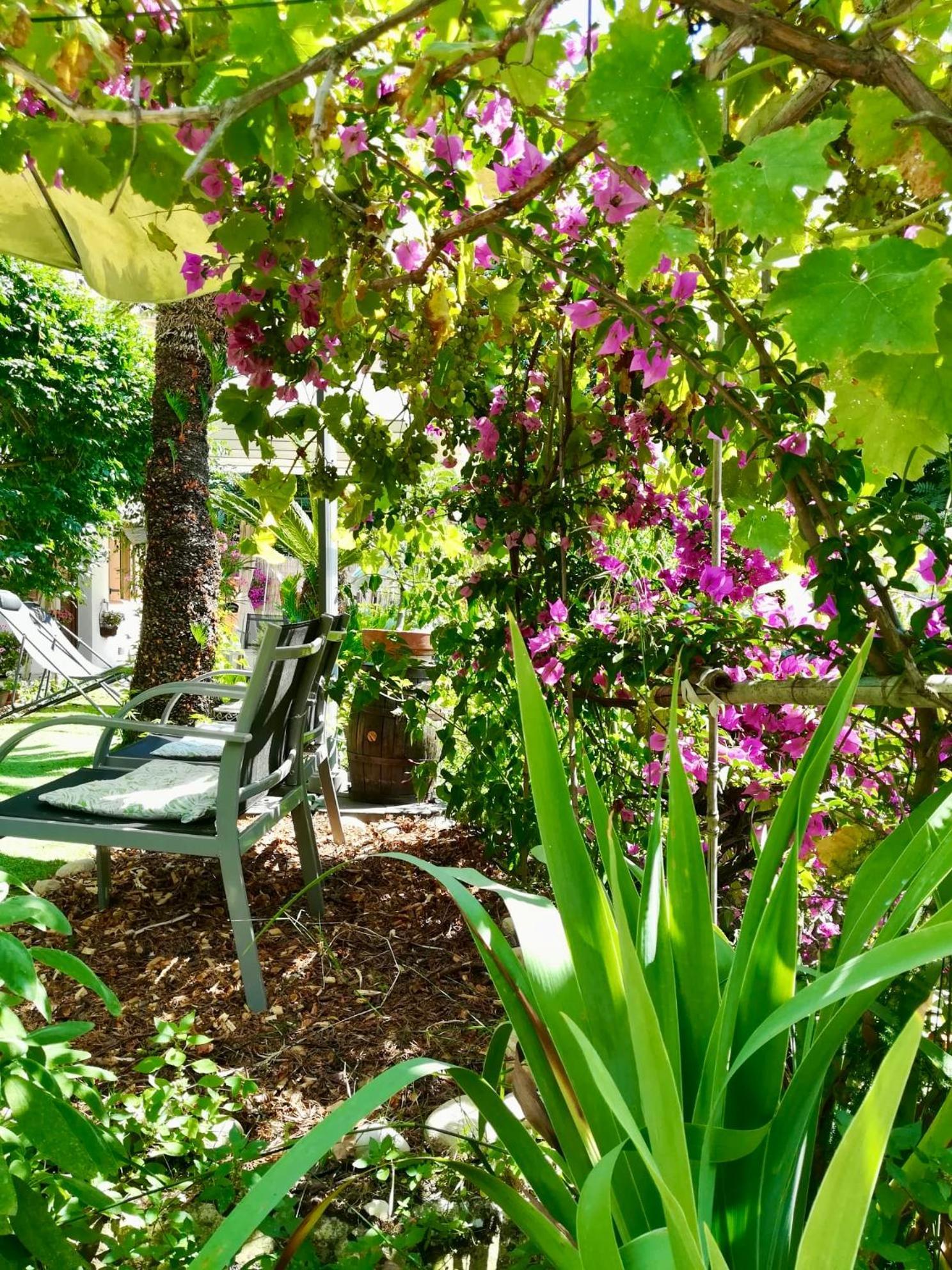 Villa Bellabe Nice Exterior photo